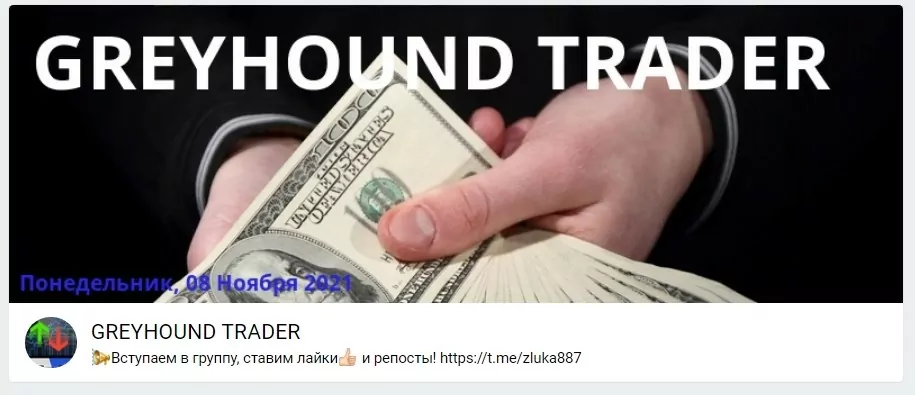 Канал в телеграмме Greyhound Trader