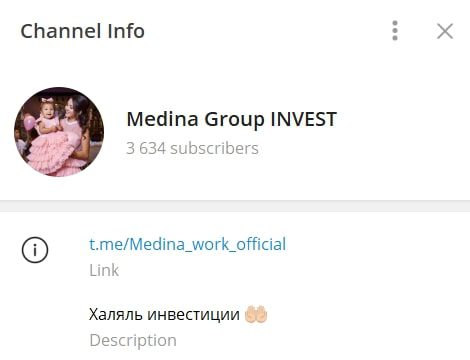 Medina Group INVES телеграмм