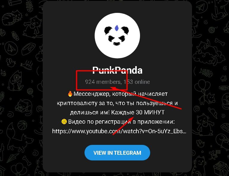 Punk panda телеграмм