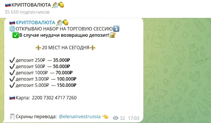 Елена Инвест Россия прибыль